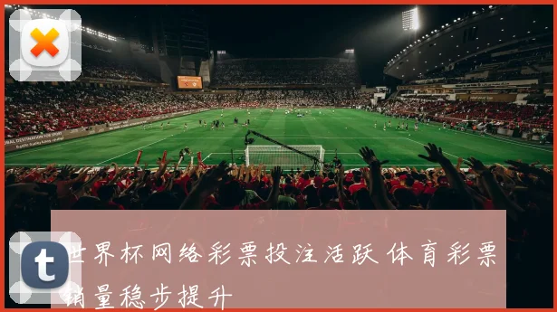世界杯网络彩票投注活跃 体育彩票销量稳步提升